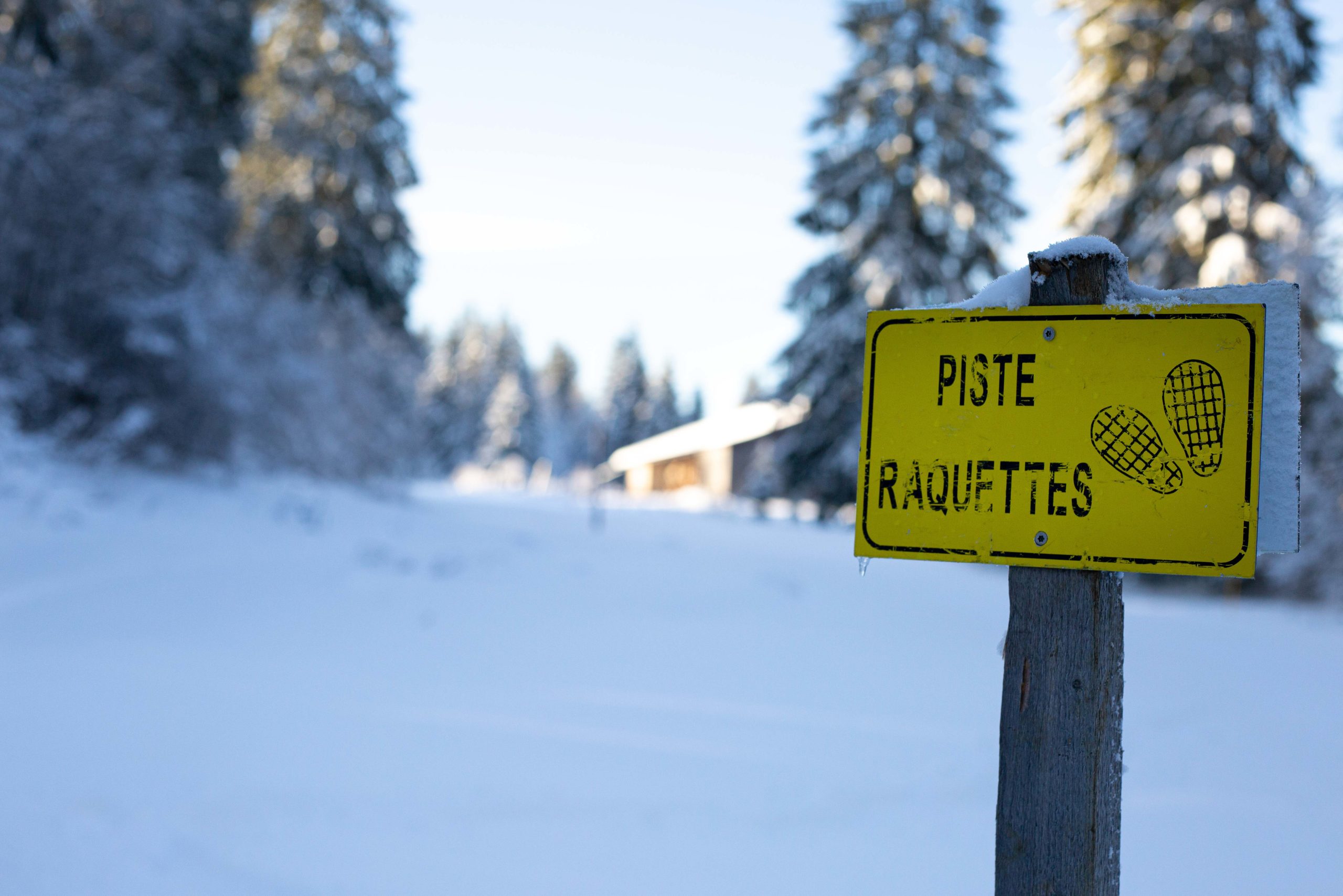 team building à la neige - Balade en raquettes - otentik