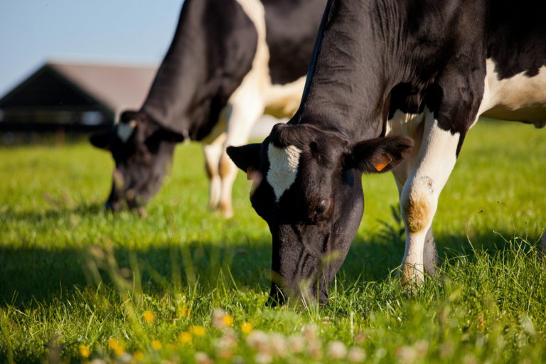 séminaire à la ferme doubs otentik