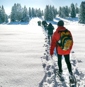 5 raisons de choisir les Montagnes du Jura pour votre séminaire à la montagne.