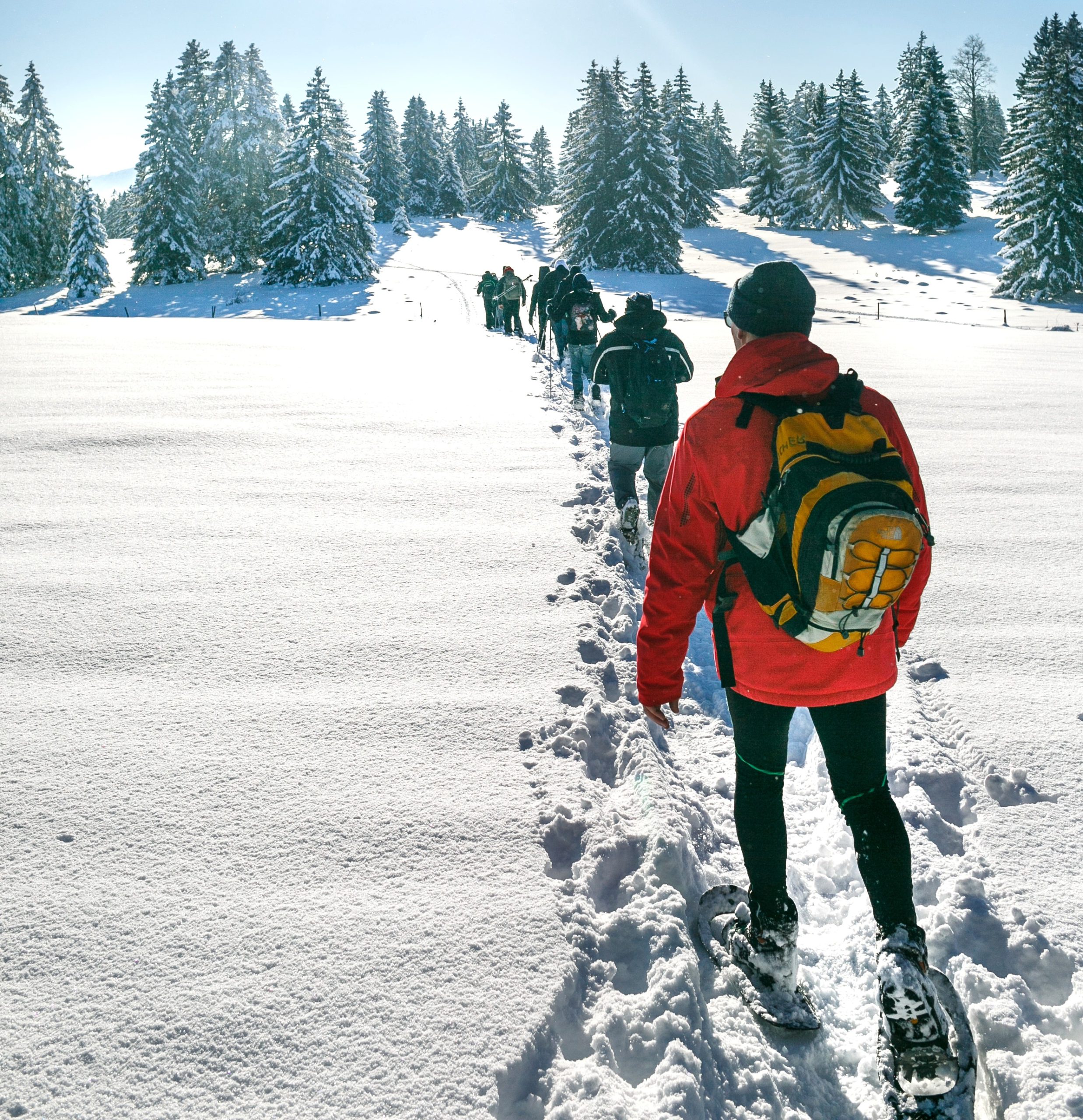 Team building à la neige